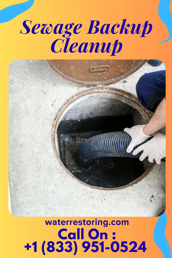 Sewage Backup Cleanup in Portage, WI