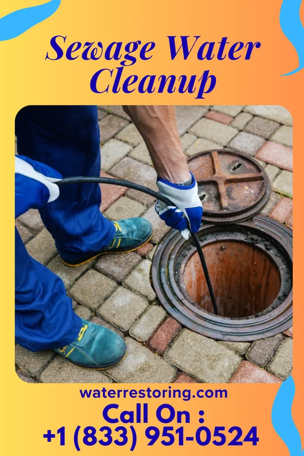 Sewage Water Cleanup in Portage, WI